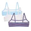 Fruit of The Loom Girls' 3 Pack Spaghetti Strap Sports Bra, Happy Stripe/White/Eyeshadow, 32 view 2