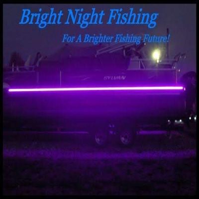 Bright Night Fishing 8ft LED Black Light Night Fishing LED Strip UV Ultraviolet Boat bass Fishing 12v dc Pontoon Kayak John Boat Florescent line Glow (8ft)
