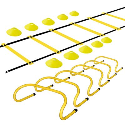 TNZMART Agility Ladder and Disc Cones Training Set Adjustable Rungs Training Ladder with 10 Plastic Sport Cones for Training (Yellow, 6 Hurdles)