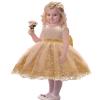 Flower Girl Dress 6 9 Month Sleeveless Clothing Lace Special Occasion Dress Ruffles Wedding Birthday Dresses Embroidery Tulle Tutu Ball Gowns for Infant Party Knee Sundresss Costumes (8557Gold, 70) view 4