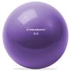 Philosophy Gym Toning Ball, 6 LB, Purple - Soft Weighted Mini Medicine Ball view 1