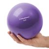 Philosophy Gym Toning Ball, 6 LB, Purple - Soft Weighted Mini Medicine Ball view 2