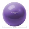 Philosophy Gym Toning Ball, 6 LB, Purple - Soft Weighted Mini Medicine Ball view 4