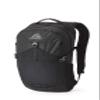 Gregory Nano 20L Plus Size Unisex Day Hiking/Commuter/Active Travel Backpack, Breathable Backpanel, Hydration Port, Plus Size, Obsidian Black view 1
