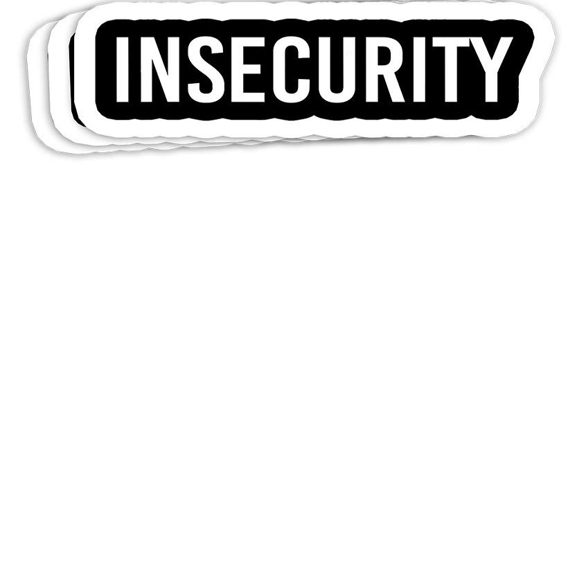 Insecurity Funny Security Guard Officer Idea Gift Decorations - 4x3 Vinyl Stickers, Laptop Decal, Water Bottle Sticker (Set of 3)