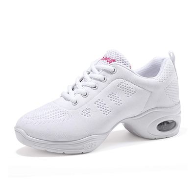 Womens Jazz Shoes Lace-up Sneakers Breathable Mesh Modern Dance Shoes Breathable Air Cushion Split-Sole Outdoor Dancing Shoes Platform Sneakers for Jazz Zumba Ballet Folk White 40