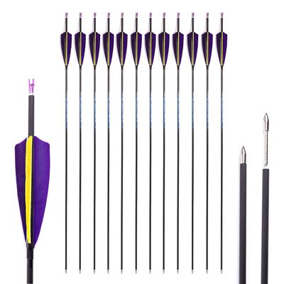800 Spine Arrow 24 Inch Arrow Target Practice Arrow Hunting Arrow Carbon Arrows Compound Bow Recurve Bow Adult Youth Archery Indoor Outdoor Shooting Bullet Tip 12pc Purple