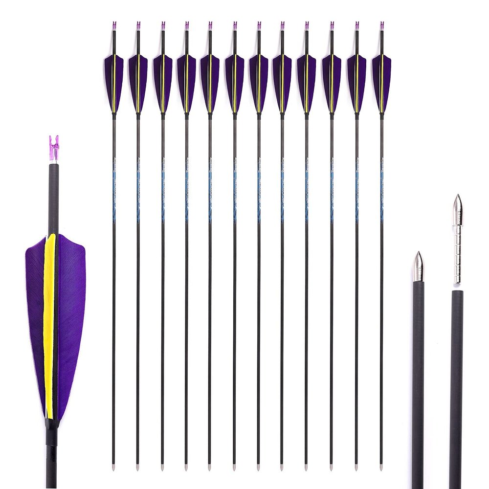 800 Spine Arrow 32 Inch Arrow Target Practice Arrow Hunting Arrow Carbon Arrows Compound Bow Recurve Bow Adult Youth Archery Indoor Outdoor Shooting Bullet Tip 12pc Purple