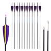 800 Spine Arrow 28 Inch Arrow Target Practice Arrow Hunting Arrow Carbon Arrows Compound Bow Recurve Bow Adult Youth Archery Indoor Outdoor Shooting Bullet Tip 12pc Purple view 1