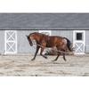 Dover Saddlery Side Reins with Elastic, Color: Black, Size: One Size view 3