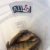 Allinliner Cooler Liner - 10-Pack Disposable Insert for 60qt-95qt Day Coolers - BPA-Free Heavy-Duty Plastic for Carry Coolers - Great for Fishing, Hunting, Camping, BBQ view 4