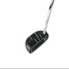 Odyssey Golf DFX Putter (Right Hand (2021), 33 Inches, 2 Ball, Oversized Grip) view 2