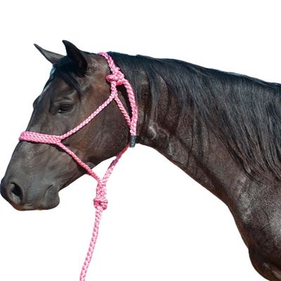Cashel Flat Braid Halter and Leadrope, Pink