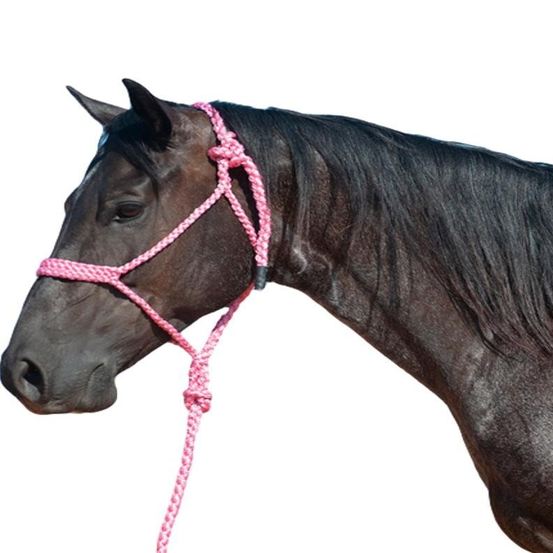 Cashel Flat Braid Halter and Leadrope, Pink