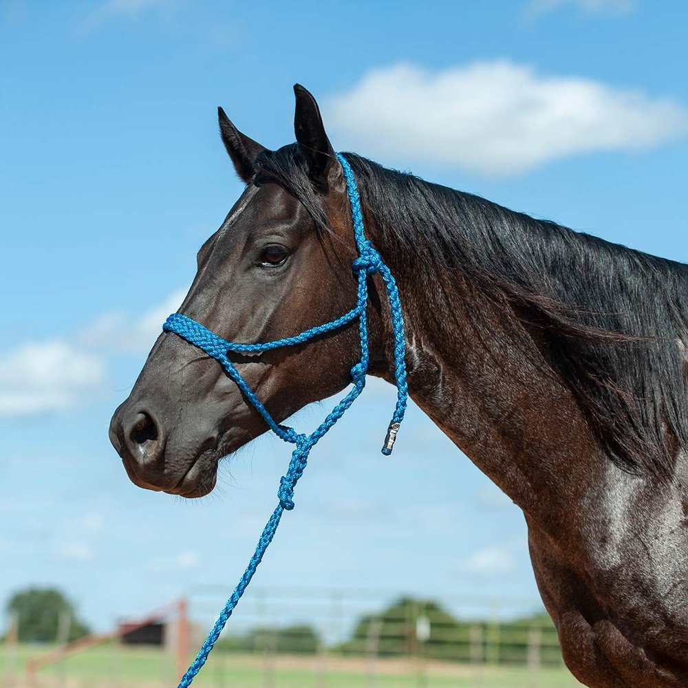 Cashel Flat Braid Halter and Leadrope, Blue