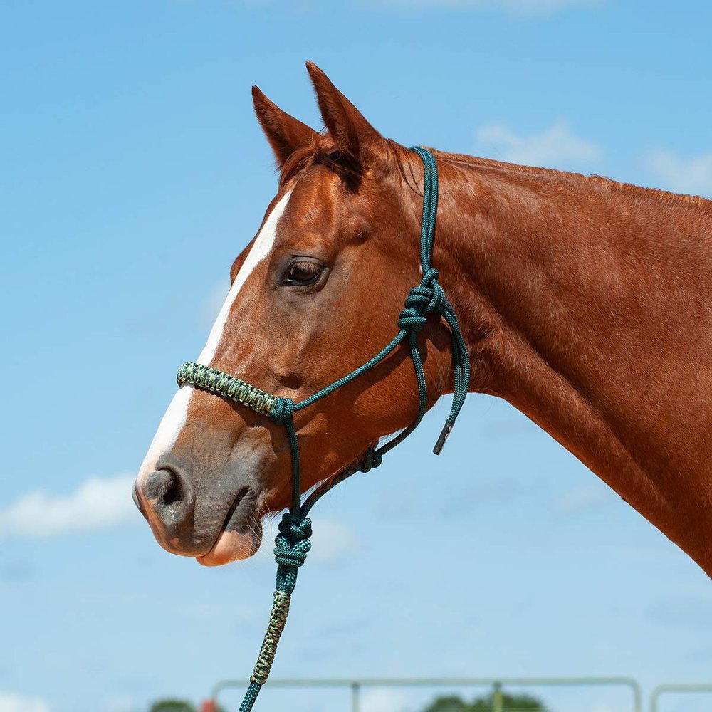 Cashel Camo Braided Rope Nose Halter Greencamo Horse