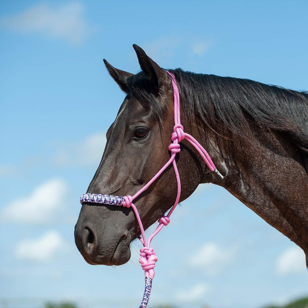 Cashel Camo Braided Rope Nose Halter Pinkcamo Horse
