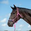 Cashel Camo Braided Rope Nose Halter Pinkcamo Horse view 1