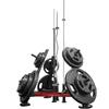 SHAPE FIT CORE Barbell Olympic Plate Tree Storage 3-Racks - Dumbbell Weight Rack with 6 Weight Pegs, 660LBS Capacity & three Standard 1.1 Inch(28mm) Diameter Bar Holders view 1