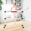 LDAILY Ballet Barre Portable for Home or Studio, Height Adjustable Ballet Bar for Stretch, Pilates, Dance or Active Workouts, Double Dance Bar for Kids and Adults (Silver) view 1