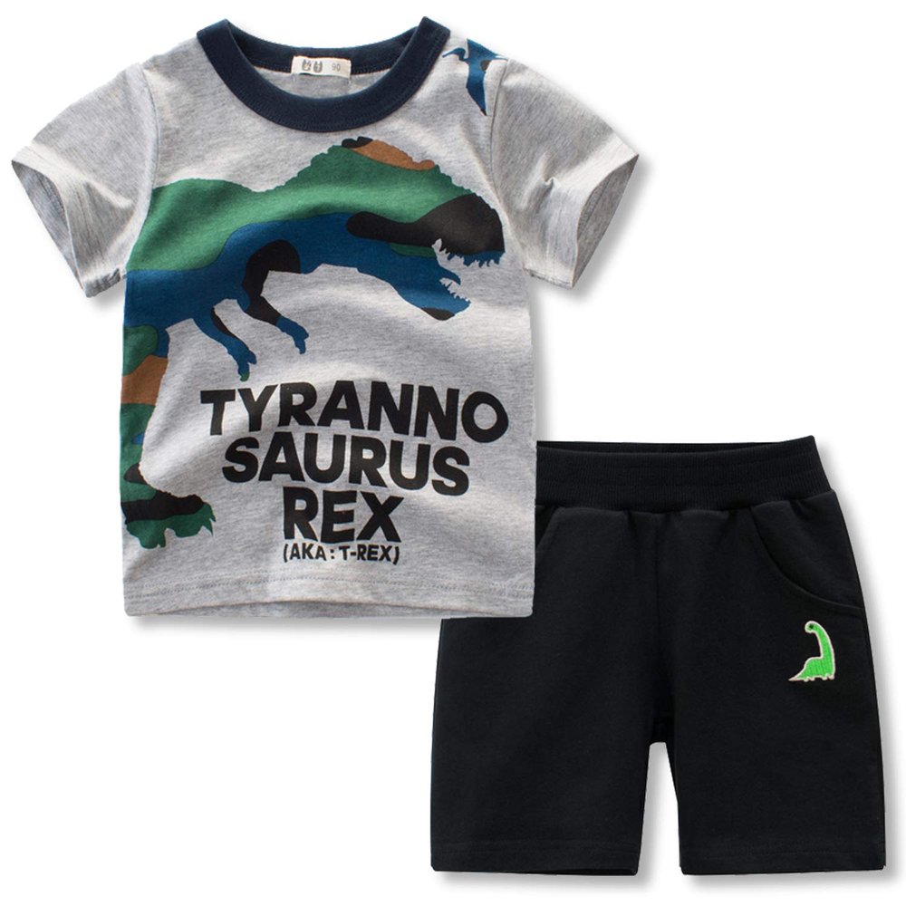 ACESTAR Toddler Boys Summer Clothes Set Cotton T Shirt and Short Sets 2 Pcs Short Sleeve Dinosaur Printing Outfits for Little Kids Boy (Grey T-REX,2T)