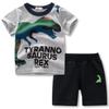 ACESTAR Toddler Boys Summer Clothes Set Cotton T Shirt and Short Sets 2 Pcs Short Sleeve Dinosaur Printing Outfits for Little Kids Boy (Grey T-REX,2T) view 1