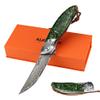 ALBATROSS Damascus Folding Pocket Knife - Premium EDC with VG10 Steel Blade, Green Synthetic Handle, Ball Bearing Assisted Opening, Liner Lock for Outdoor, Hunting, Camping - Great Gift for Men - HGDK028-DG view 1