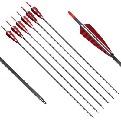 Elong 6PCS 30" Arrows for Compound Bows,Pure Carbon Hunting Arrows for Archery Spine 700 with 100 Grain Screw Tips,4" Turkey Feathers, for Compound & Recurve & Traditional Bow