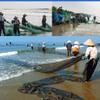Lawaia Fishing Net Fishing Drag Net Beach Seine Bait Fish Mesh with Floats Durable Easy Throw Hand Casting Strong Nylon Line Sinker Nets Fish Trap for Saltwater Shoal Fishing Lovers (2X15 m) view 3