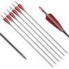 Elong 6PCS 30" Arrows for Compound Bows,Pure Carbon Hunting Arrows for Archery Spine 600 with 100 Grain Screw Tips,4" Turkey Feathers, for Compound & Recurve & Traditional Bow view 1