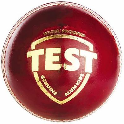 SG Test Cricket Leather Ball - red