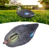 01 02 015 Duck Decoration, 26x11.5cm Duck Ornament, Duck Decoy, Durable for Gardens Courtyards(Mandarin Duck Mother) view 3
