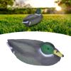 01 02 015 Duck Decoration, 26x11.5cm Duck Ornament, Duck Decoy, Durable for Gardens Courtyards(Mandarin Duck) view 3
