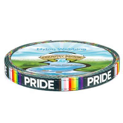 Country Brook Design - 5/8 Inch Pride Reflective Polyester Webbing, 20 Yards