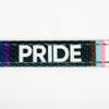 Country Brook Design - 5/8 Inch Pride Reflective Polyester Webbing, 20 Yards view 3