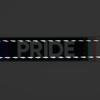 Country Brook Design - 5/8 Inch Pride Reflective Polyester Webbing, 20 Yards view 4