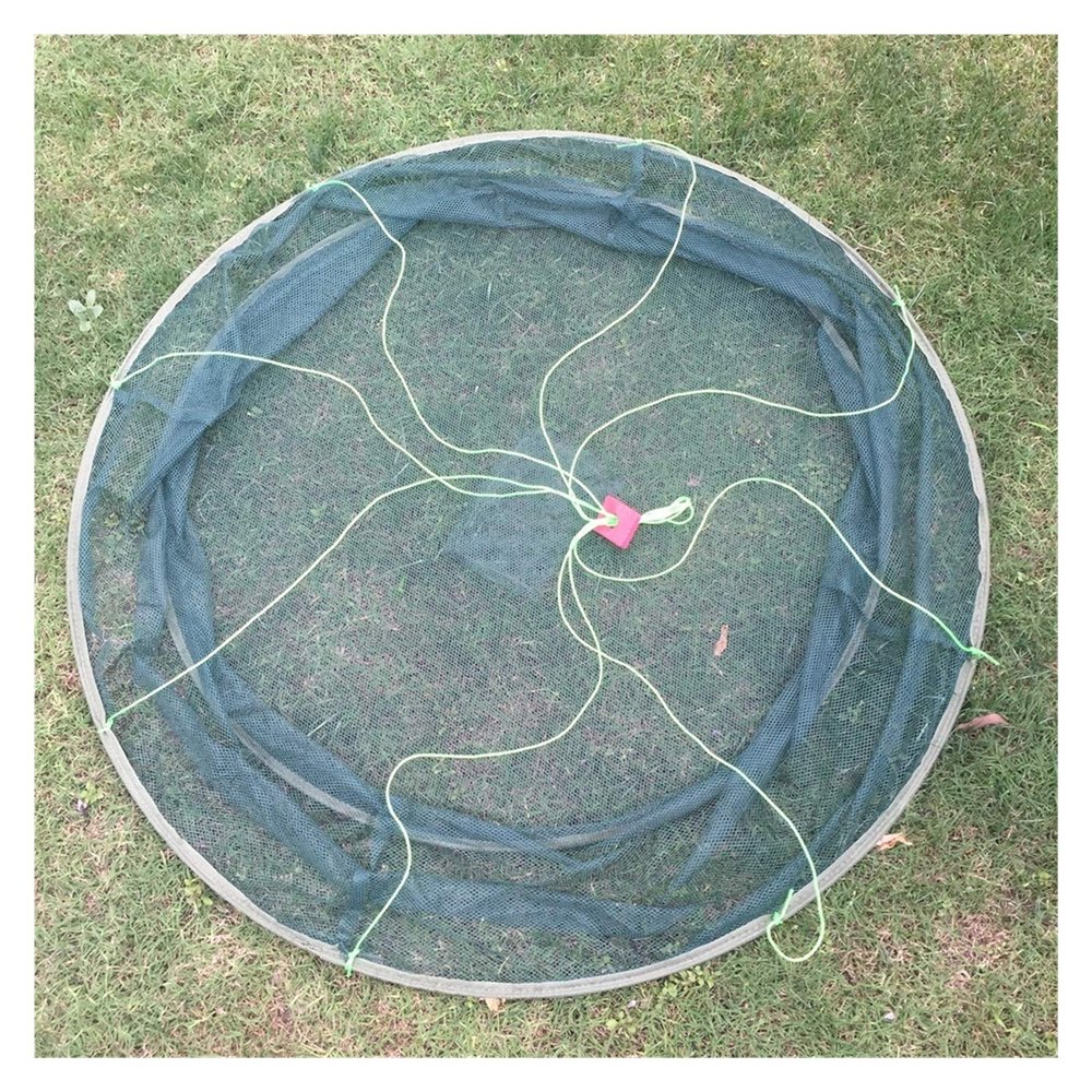 Bclla Zkenyao-net Fishing Portable Folding Fishing Nets, Casting Fishes Shrimp Crayfish Catcher Nets, (Color : Dia 80cm)