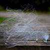 Bclla Zkenyao-net Fishing 1PC Fishing Net, Fishing Cage, Fishnet Copper Spring Shoal Netting, Fishing Tackle Fishing Supplies, (Color : 7 mesh 3.5x3.5cm) view 4