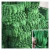Bclla Zkenyao-net Fishing 1PC, Crab Crayfish Lobster Catcher Live Trap Fish Net, Foldable Portable EEL Prawn Lure Nylon Fishing Net, (Color : 446964) view 2