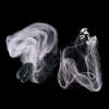 Bclla Zkenyao-net Fishing Monofilament Fishing Gill Network with Float, 1 Layers Fishing Net 20m, (Color : 120 cm Wide) view 4