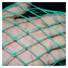 Bclla Zkenyao-net Fishing Thick Wire Fishing Net, Bag Fish Mesh Protection Pocket Net,Fishing Tackle Super Long 3m/2m/1.5m/1m, (Color : 150cm) view 1