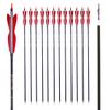 30Inch Carbon Arrow Archery Hunting/Targeting Practice Arrows with 5" Turkey Feathers for Compound Recurve Longbow 12Pack view 1