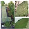 ASDQWER Tarp Mesh Net,Camouflage Net,Army Military Camo Net Car Covering Tent Hunting Blinds Netting Optional Size 2X3m 2X4m 2X6m 3X3m 3X4m 4X6m 5X8m 8X10m 9X9m 10X10m,7 * 8m(22.97 * 26.25ft) view 4