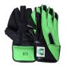 CW Shield Wicket Keeper Set Sports Gear Wicket Keeping Combo Cricket Wicket Keeping Kit Sports Wicket Keeper Pads Legguard with Wicket Keeping Gloves Cricket for Men- Adult Cricket Set Full Size view 3