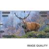 ATN MossyOak X-Sight-4k Pro Smart Day/Night Camouflage Scope w/Full HD Video rec, Smooth Zoom, Bluetooth and Wi-Fi (3-14x, Elements Terra) view 3