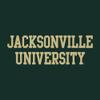 LS01 - Jacksonville University Dolphins Basic Block Womens T-Shirt - 3X-Large - Forest view 2