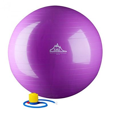 HWR 55 cm. Static Strength Exercise Stability Ball44; Purple