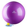 HWR 55 cm. Static Strength Exercise Stability Ball44; Purple view 1