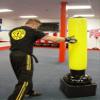 Physical Success Inflatable Punching Bag Workout for Beginners DVD ONLY No Punching Bag. view 4