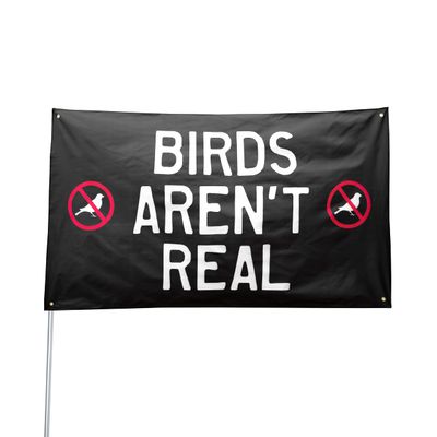 Birds Aren't Real Flag, 3x5 Feet College Dorm Activist Banner